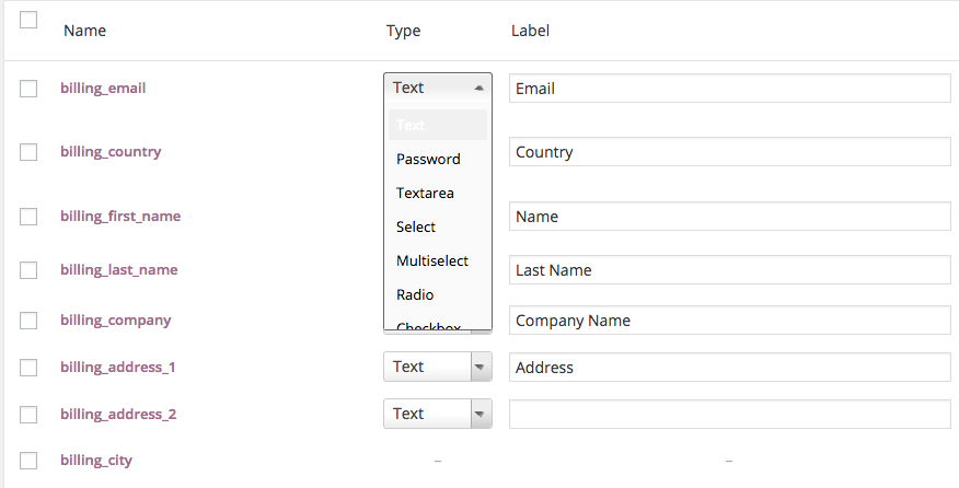 The Custom Checkout Options Functionality: Make Checkout Pages Easier For Your Customers and Your Business