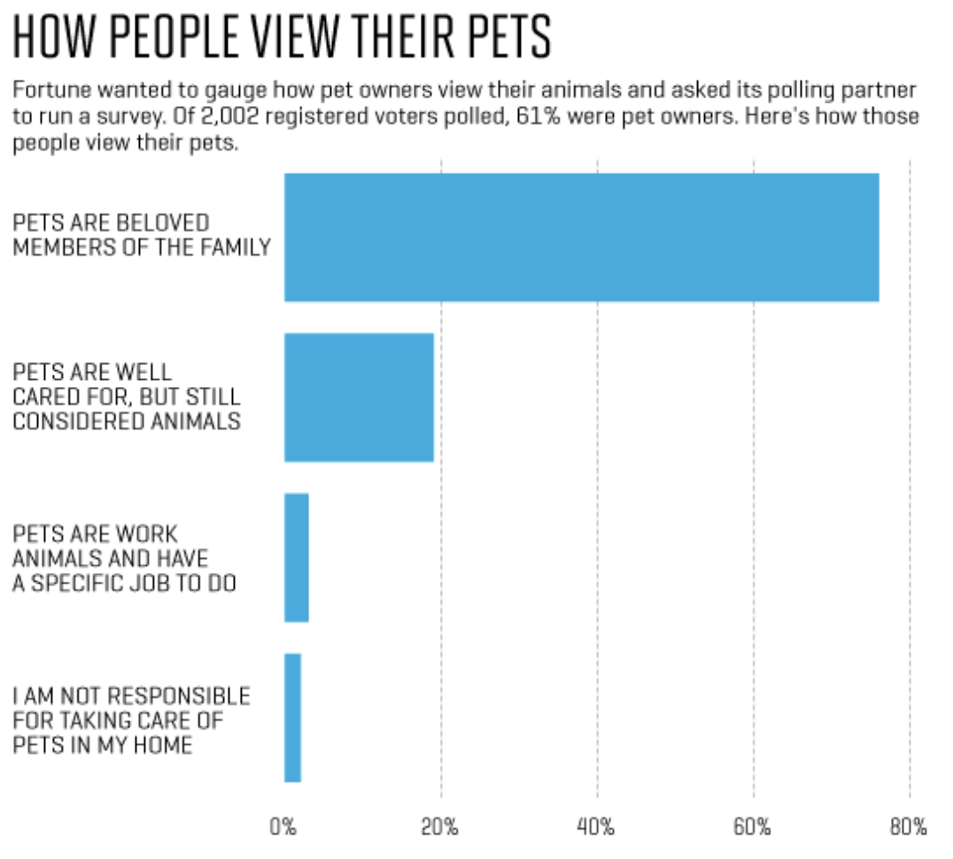 How to Market and Introduce Pet Products